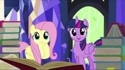 Size: 1919x1075 | Tagged: safe, screencap, character:fluttershy, character:twilight sparkle, character:twilight sparkle (alicorn), species:alicorn, species:pony, episode:the hooffields and mccolts, g4, my little pony: friendship is magic, book, cute, duo, female, looking at you, mare