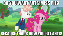 Size: 800x450 | Tagged: safe, screencap, character:pinkie pie, character:svengallop, episode:the mane attraction, g4, my little pony: friendship is magic, archer (show), food, image macro, meme, oats, plate, sad, yelling