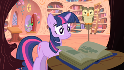Size: 1366x768 | Tagged: safe, screencap, character:owlowiscious, character:spike, character:twilight sparkle, episode:owl's well that ends well, g4, my little pony: friendship is magic