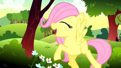 Size: 1280x720 | Tagged: safe, screencap, character:fluttershy, episode:the cutie mark chronicles, g4, my little pony: friendship is magic, filly, filly fluttershy, so many wonders, youtube link