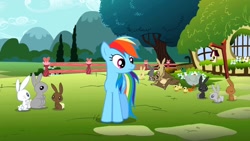 Size: 1280x720 | Tagged: safe, screencap, character:rainbow dash, species:duck, species:mallard, species:pegasus, species:pony, species:rabbit, episode:may the best pet win, g4, my little pony: friendship is magic, animal, duckling, female, find a pet, fluttershy's cottage, flying squirrel, male, mare, youtube link