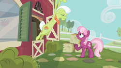 Size: 1366x768 | Tagged: safe, screencap, character:cheerilee, character:granny smith, episode:family appreciation day, g4, my little pony: friendship is magic
