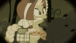 Size: 1366x768 | Tagged: safe, screencap, character:granny smith, episode:family appreciation day, g4, my little pony: friendship is magic, braid, braided tail, flashback, solo, younger