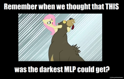 Size: 1024x656 | Tagged: safe, artist:sketch-shepherd, screencap, character:fluttershy, character:harry, episode:lesson zero, g4, my little pony: friendship is magic, neck snap