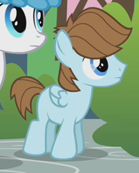 Size: 245x305 | Tagged: safe, screencap, character:chip mint, character:rain catcher, character:white lightning, species:pegasus, species:pony, episode:a friend in deed, g4, my little pony: friendship is magic, background pony, female, mare, smile song