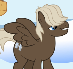Size: 472x450 | Tagged: safe, screencap, character:dumbbell, character:hoops, species:pegasus, species:pony, episode:sonic rainboom, g4, my little pony: friendship is magic, cropped, male, solo focus, stallion
