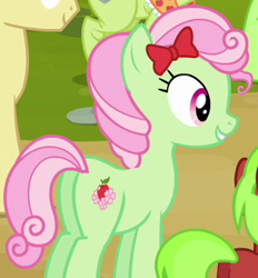 Size: 303x326 | Tagged: safe, screencap, character:auntie applesauce, character:florina tart, character:granny smith, character:red june, species:earth pony, species:pony, episode:apple family reunion, g4, my little pony: friendship is magic, apple family member, background pony, bow, cropped, female, hair bow, mare, plot, solo focus