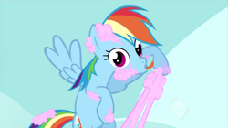 Size: 852x476 | Tagged: safe, screencap, character:rainbow dash, cotton candy, derp, flying, food, tongue out