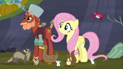 Size: 1122x632 | Tagged: safe, screencap, character:fluttershy, species:bird, species:duck, species:earth pony, species:pegasus, species:pony, episode:the hooffields and mccolts, g4, my little pony: friendship is magic, animal, braid, braided tail, chipmunk, clothing, critters, female, ferret, hooffield family, house finch, johnny appleseed, male, mare, mouse, pot, sprig hooffield, squirrel, stallion