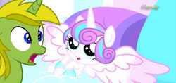 Size: 540x254 | Tagged: safe, artist:kombatantchampion, screencap, character:princess flurry heart, oc, oc:braveheart, species:alicorn, species:pony, episode:the crystalling, g4, my little pony: friendship is magic, foal, reaction image, wtf
