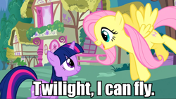 Size: 960x541 | Tagged: safe, screencap, character:fluttershy, character:twilight sparkle, captain obvious, duo, image macro, meme