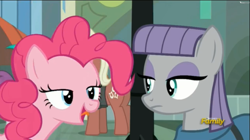 Size: 2497x1401 | Tagged: safe, screencap, character:beaude mane, character:maud pie, character:pinkie pie, character:pinot noir, species:earth pony, species:pony, episode:the gift of the maud pie, g4, my little pony: friendship is magic, background pony, discovery family logo, female, male, manehattan, mare, stallion