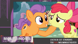 Size: 1280x720 | Tagged: safe, screencap, character:apple bloom, character:tender taps, species:earth pony, species:pony, episode:on your marks, g4, my little pony: friendship is magic, advertisement, colt, cutie mark, discovery family logo, female, filly, livestream, male, the cmc's cutie marks