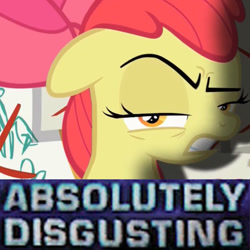 Size: 682x682 | Tagged: safe, screencap, character:apple bloom, episode:on your marks, g4, my little pony: friendship is magic, absolutely disgusting, expand dong, looking at you, reaction image, snapple bloom, solo