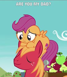 Size: 627x720 | Tagged: safe, screencap, character:big mcintosh, character:scootaloo, species:pegasus, species:pony, episode:on your marks, g4, my little pony: friendship is magic, cutie mark, male, meme, pony hat, scootahat, text, the cmc's cutie marks