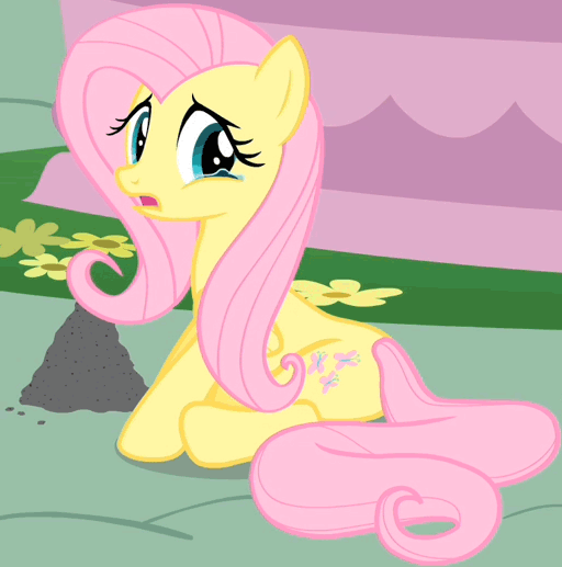 Size: 512x517 | Tagged: safe, screencap, character:fluttershy, character:philomena, species:pegasus, species:pony, episode:a bird in the hoof, g4, my little pony: friendship is magic, animated, ash, blinking, cropped, crying, cute, female, frown, looking at you, looking back, loop, mare, sad, sadorable, solo, teary eyes