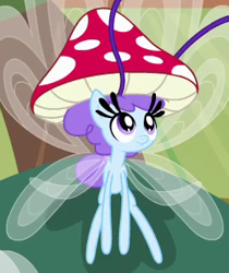 Size: 260x310 | Tagged: safe, screencap, character:breezette, species:breezies, episode:it ain't easy being breezies, g4, my little pony: friendship is magic, clothing, hat, mushroom, mushroom hat, solo