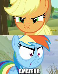 Size: 759x959 | Tagged: safe, screencap, character:applejack, character:rainbow dash, episode:no second prances, episode:tanks for the memories, g4, my little pony: friendship is magic, angry, do i look angry
