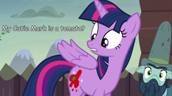 Size: 1440x805 | Tagged: safe, screencap, character:twilight sparkle, character:twilight sparkle (alicorn), species:alicorn, species:pony, episode:the hooffields and mccolts, g4, my little pony: friendship is magic, big daddy mccolt, female, image macro, mare, mccolt family, meme, tomato