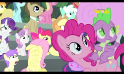 Size: 800x480 | Tagged: safe, screencap, character:apple bloom, character:applejack, character:carrot top, character:doctor whooves, character:fluttershy, character:golden harvest, character:lily, character:lily valley, character:pinkie pie, character:rarity, character:spike, character:sweetie belle, character:time turner, character:twilight sparkle, character:twilight sparkle (alicorn), species:alicorn, species:pony, episode:newbie dash, g4, my little pony: friendship is magic, cotton candy, discovery family logo, food, male, stallion, wing hands