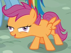 Size: 368x275 | Tagged: safe, screencap, character:rainbow dash, character:scootaloo, species:pegasus, species:pony, episode:newbie dash, g4, my little pony: friendship is magic, chickun, exploitable meme, faec, forced meme, i didn't listen, meme, spread wings, wings