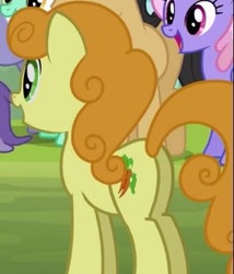 Size: 271x316 | Tagged: safe, screencap, character:carrot top, character:cherry cola, character:golden harvest, character:lyra heartstrings, character:rainbowshine, species:earth pony, species:pony, episode:the mysterious mare do well, g4, my little pony: friendship is magic, background pony, butt, cropped, female, goldenbutt, mare, plot
