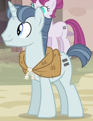 Size: 362x468 | Tagged: safe, screencap, character:party favor, character:rosemary, episode:the cutie map, g4, my little pony: friendship is magic, equal cutie mark, equalized, equalized mane
