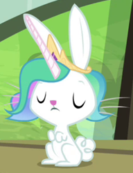 Size: 230x300 | Tagged: safe, screencap, character:angel bunny, species:rabbit, episode:testing testing 1-2-3, g4, my little pony: friendship is magic, angelestia, celestia's crown, cropped, eyes closed, fake horn, male, solo