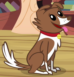 Size: 385x403 | Tagged: safe, screencap, character:winona, species:dog, episode:just for sidekicks, g4, my little pony: friendship is magic, collar, cropped, dog collar, sitting, solo, tongue out