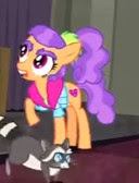 Size: 128x168 | Tagged: safe, screencap, character:plaid stripes, episode:the saddle row review, g4, my little pony: friendship is magic, cute, plaid shirt, raccoon, smoky jr.