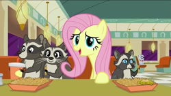 Size: 1920x1080 | Tagged: safe, screencap, character:fluttershy, character:mr. waddle, episode:the saddle row review, g4, my little pony: friendship is magic, discovery family logo, food, french fries, hay fries, raccoon, smoky, smoky jr., softpad