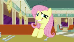 Size: 1920x1080 | Tagged: safe, screencap, character:fluttershy, character:mr. waddle, episode:the saddle row review, g4, my little pony: friendship is magic, faec, nervous grin, restaurant, solo