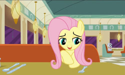 Size: 795x477 | Tagged: safe, screencap, character:fluttershy, character:mr. waddle, episode:the saddle row review, g4, my little pony: friendship is magic