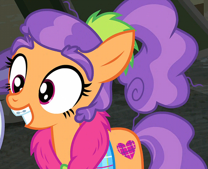 Size: 665x540 | Tagged: safe, screencap, character:plaid stripes, episode:the saddle row review, g4, my little pony: friendship is magic, animated, cute, eyebrow wiggle, plaidabetes, solo