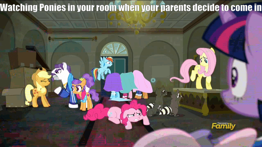 Size: 858x482 | Tagged: safe, screencap, character:applejack, character:mr. stripes, character:pinkie pie, character:plaid stripes, character:rarity, character:twilight sparkle, character:twilight sparkle (alicorn), species:alicorn, species:pony, episode:the saddle row review, g4, my little pony: friendship is magic, animated, caption, closet brony, discovery family logo, female, gif with captions, image macro, mare, meme, solo focus