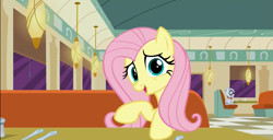 Size: 893x458 | Tagged: safe, screencap, character:fluttershy, character:mr. waddle, episode:the saddle row review, g4, my little pony: friendship is magic, big eyes, solo