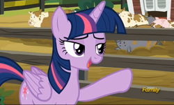 Size: 891x543 | Tagged: safe, screencap, character:twilight sparkle, character:twilight sparkle (alicorn), species:alicorn, species:pony, episode:applejack's day off, discovery family logo, female, mare, pig, pig pen
