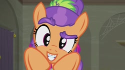 Size: 1920x1080 | Tagged: safe, screencap, character:plaid stripes, episode:the saddle row review, g4, my little pony: friendship is magic, braces, cute, plaidabetes, raised eyebrow, solo, thick eyebrows