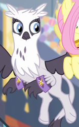 Size: 321x515 | Tagged: safe, screencap, character:fluttershy, character:natalya, species:griffon, species:pony, episode:equestria games, g4, my little pony: friendship is magic, background griffon, cropped, solo focus, wristband