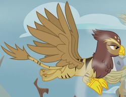 Size: 926x716 | Tagged: safe, screencap, character:galena, species:griffon, episode:the lost treasure of griffonstone, g4, my little pony: friendship is magic, background griffon, cropped, female, flying, solo, tiger griffon