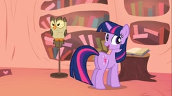 Size: 1100x618 | Tagged: safe, screencap, character:owlowiscious, character:twilight sparkle, species:pony, episode:owl's well that ends well, g4, my little pony: friendship is magic, female, mare, plot