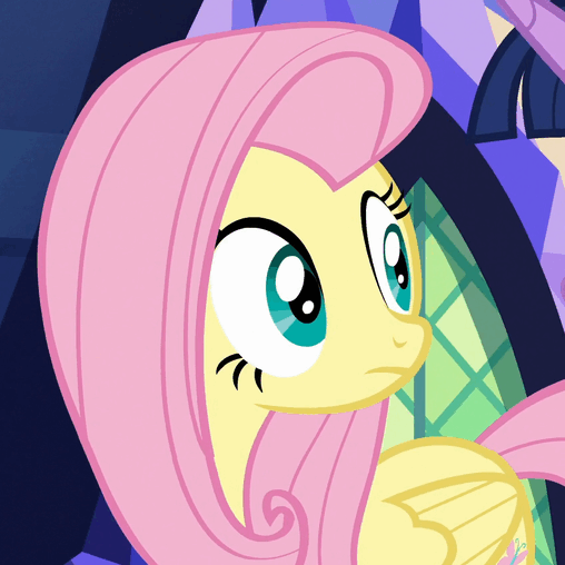 Size: 508x508 | Tagged: safe, screencap, character:fluttershy, character:twilight sparkle, character:twilight sparkle (alicorn), species:alicorn, species:pony, episode:flutter brutter, g4, my little pony: friendship is magic, animated, blushing, cute, grin, shyabetes, smiling, solo focus, squee