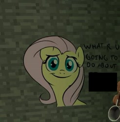 Size: 406x413 | Tagged: safe, artist:furseiseki, screencap, character:fluttershy, species:pony, cute, looking at you, team fortress 2, video game