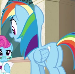 Size: 624x618 | Tagged: safe, screencap, character:blue bobbin, character:rainbow dash, species:pony, episode:the saddle row review, g4, my little pony: friendship is magic, cropped, female, mare, plot