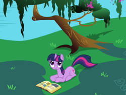 Size: 800x600 | Tagged: safe, screencap, character:twilight sparkle, character:twilight sparkle (unicorn), species:pony, species:unicorn, episode:friendship is magic, g4, my little pony: friendship is magic, book, book of harmony, female, grass, looking up, mare, meadow, overhead view, pond, sitting, solo, tree