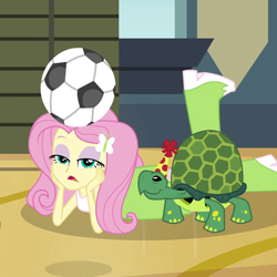 Size: 600x600 | Tagged: safe, screencap, character:fluttershy, episode:shake your tail, equestria girls:rainbow rocks, g4, my little pony:equestria girls, boots, clothing, cropped, football, hat, high heel boots, party hat, turtle