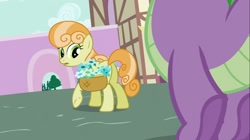 Size: 1100x618 | Tagged: safe, screencap, character:junebug, character:spike, species:pony, episode:secret of my excess, g4, my little pony: friendship is magic, basket, female, flower, mare, plot