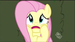 Size: 1280x720 | Tagged: safe, screencap, character:fluttershy, species:pony, episode:the return of harmony, g4, my little pony: friendship is magic, cute, hub logo, hubble