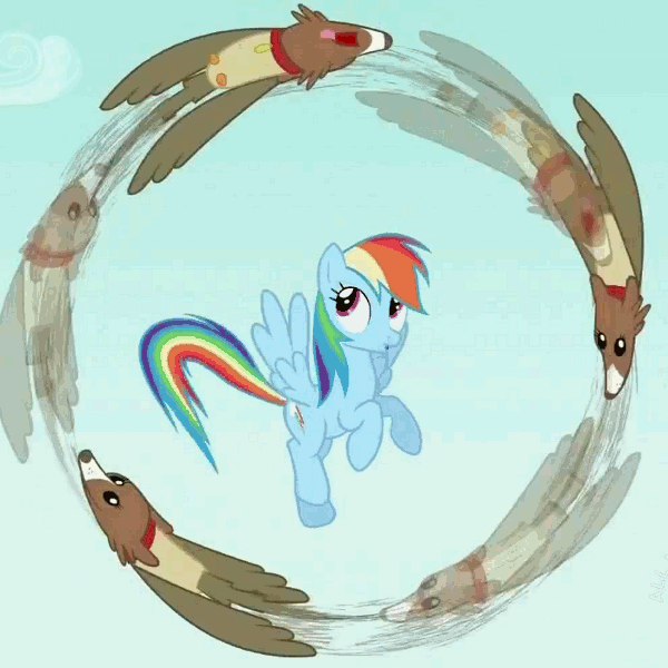 Size: 600x600 | Tagged: safe, screencap, character:owlowiscious, character:rainbow dash, character:winona, episode:may the best pet win, g4, my little pony: friendship is magic, allpet, animated, loop