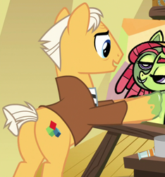 Size: 802x856 | Tagged: safe, screencap, character:tree hugger, species:earth pony, species:pony, episode:on your marks, g4, my little pony: friendship is magic, background pony, butt, male, pablo picasso, pinto paintcaster, plot, stallion, unnamed pony